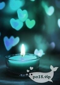 【文野】首领和她下属们的二三事（SM、N