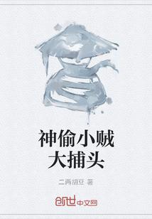 神偷小贼大捕头