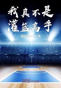 我真不是灌篮高手