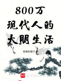 800万现代人的大明生活