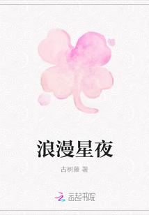 浪漫星夜