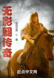 无影腿传奇
