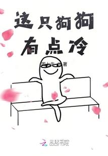 这只狗狗有点冷