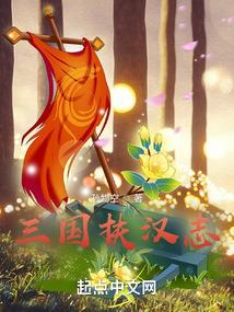 三国扶汉志