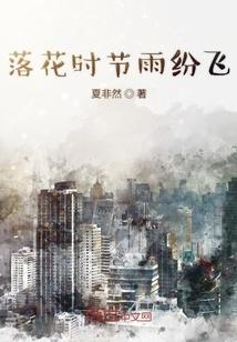 落花时节雨纷飞