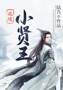 北境小贤王