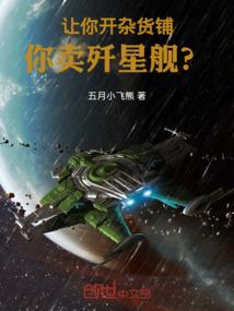 让你开杂货铺，你卖歼星舰？