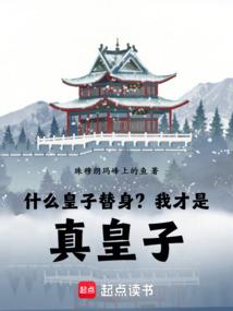 什么皇子替身？我才是真皇子