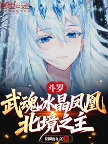 斗罗：武魂冰晶凤凰，北境之主