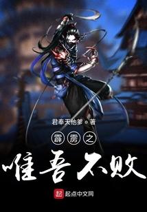 霹雳之唯吾不败