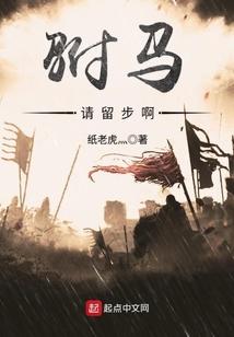 驸马请留步啊
