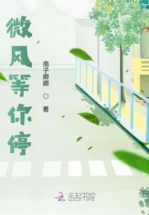 微风等你停