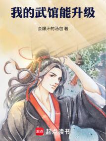我的武馆能升级