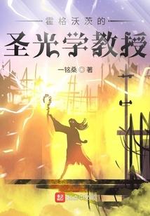 霍格沃茨的圣光学教授