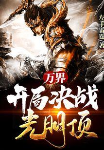 万界：开局决战光明顶