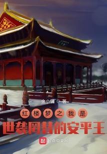 红楼梦之我是世袭罔替的安平王