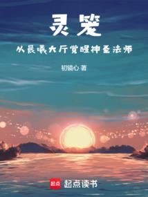 灵笼：从晨曦大厅觉醒神圣法师