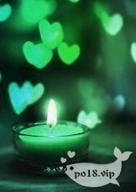 食髓知味gl（纯百）