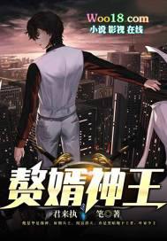赘婿神王