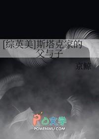 [综英美] 斯塔克家的父与子