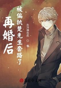 再婚后，被偏执楚先生套路了