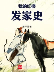 我的红楼发家史