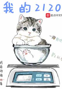 我的2120