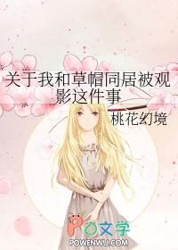 [海贼同人] 关于我和草帽同居被观影这件