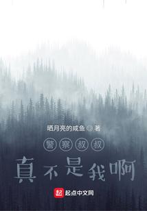 警察叔叔，真不是我啊！