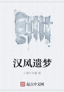 汉风遗梦