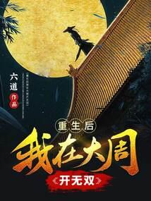 重生后我在大周开无双