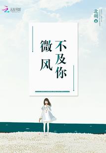 微风不及你