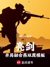 亮剑：开局融合燕双鹰模板