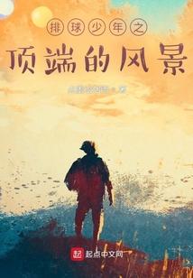 排球少年之顶端的风景