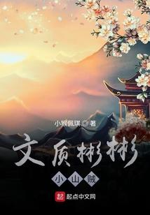 文质彬彬小山贼