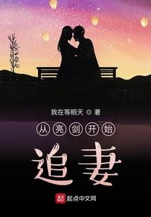 从亮剑开始追妻