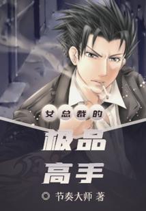 女总裁的极品高手