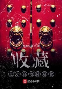 收藏之小白地摊经营