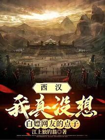 西汉：我真没想白嫖网友的点子