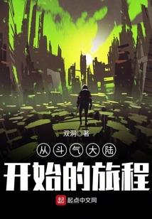 从斗气大陆开始的旅程